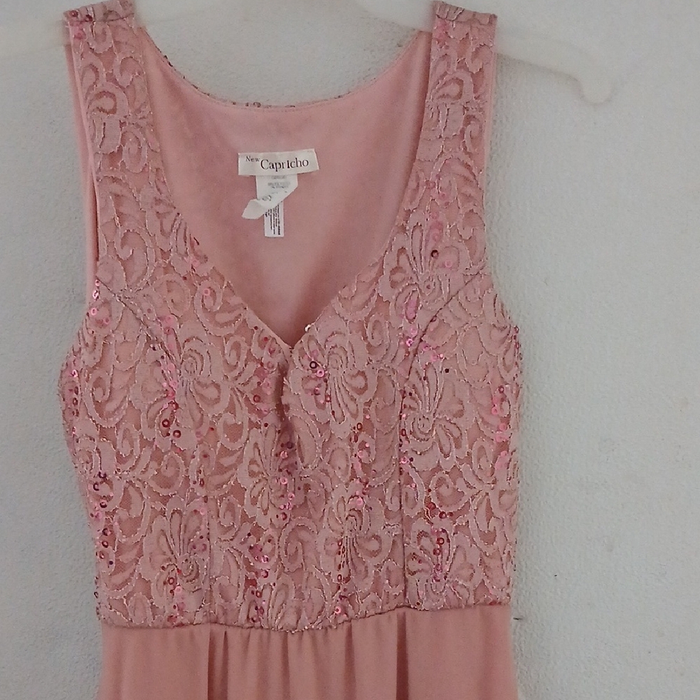 Cape Juby Blush Sequin Lace Dress